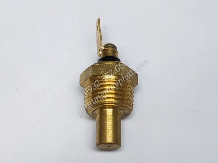 Cảm biến nhiệt độ nước 3/8NPT class=