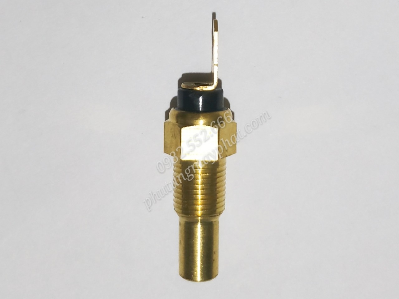 Cảm biến nhiệt độ nước 1/8NPT class=